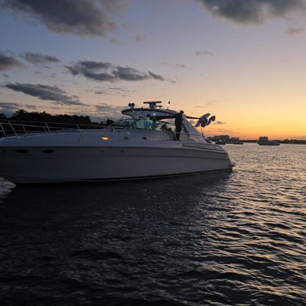 "Sea Ray 60Luxury Yacht Charter: Ultimate Miami Paradise Experience"